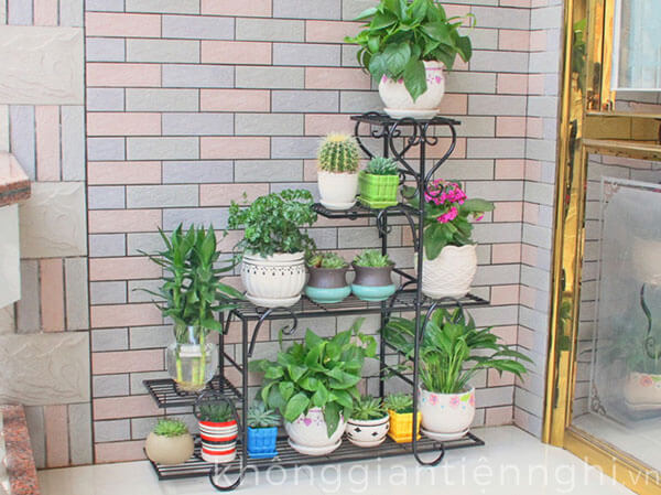 Kệ cây cảnh ban công KGTN 011KTT001